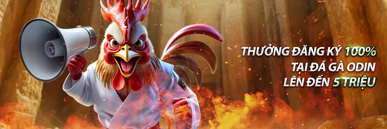 Hình ảnh minh họa Chính sách bảo mật của ok3868 đăng nhập với các biểu tượng bảo vệ dữ liệu và mã hóa